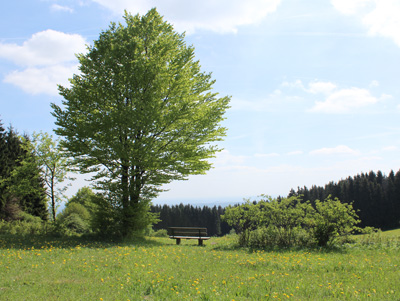 Ausblick auf eine Bank während der Wanderung durch die Rhön