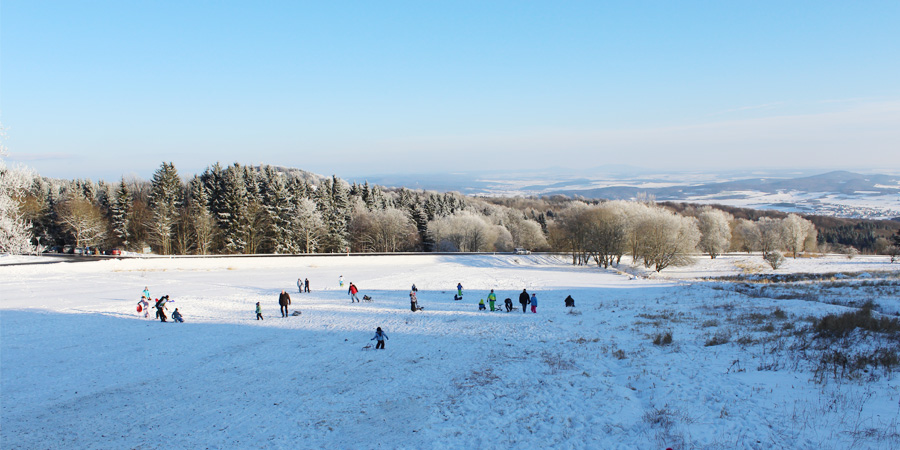 Schlittenfahren in der Rhön