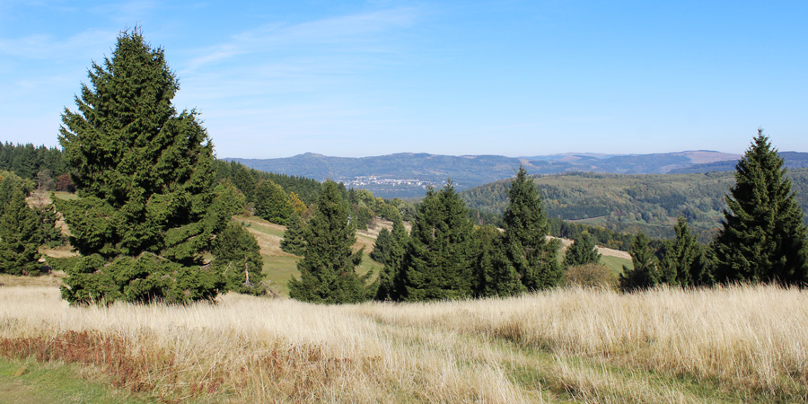 Ausblick auf die Natur beim Wandern durch die Rhön